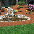 Water Feature
