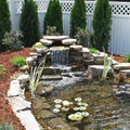 Water Feature